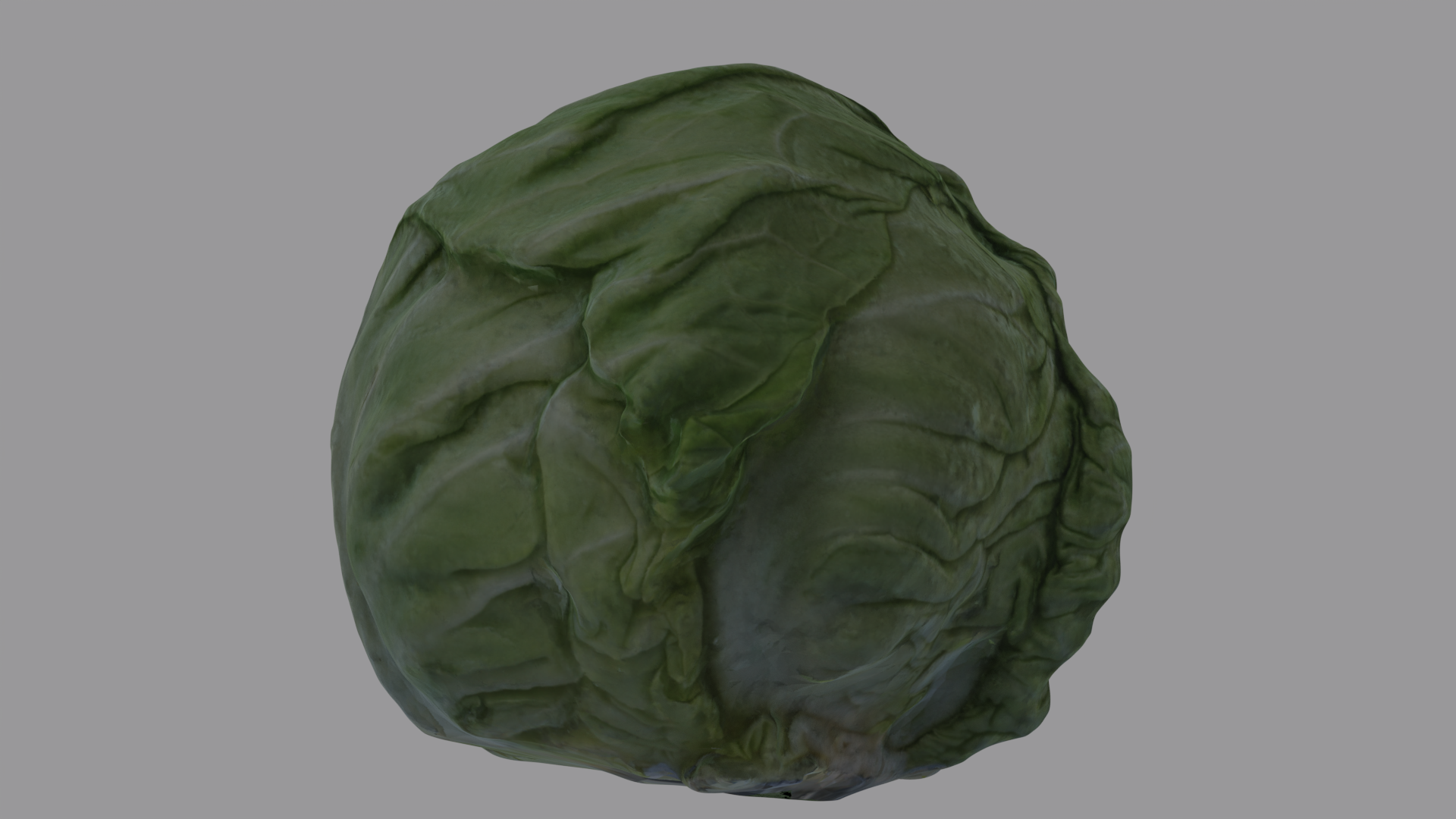 Cabbage Head preview image 1